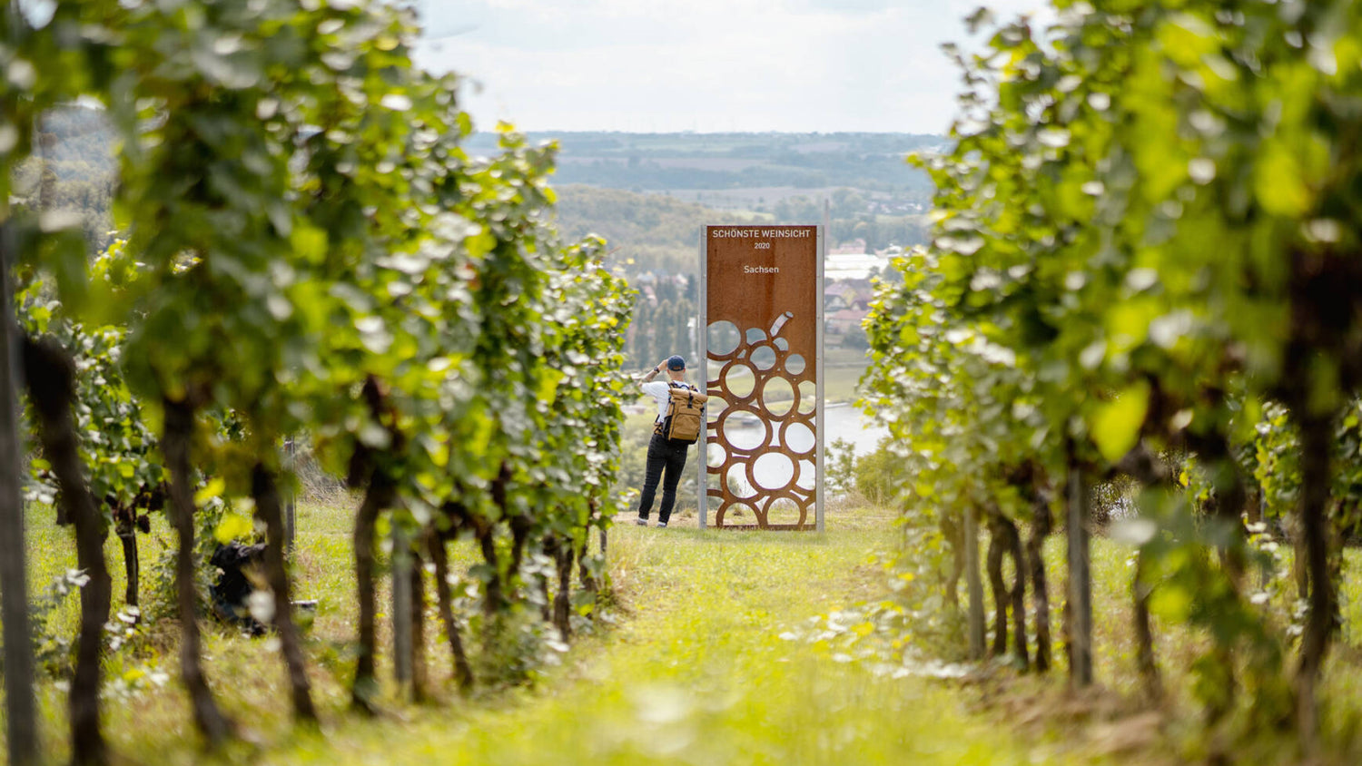 Weinfrühling in Diesbar-Seußlitz im Elbtal bei Meißen, nahe Dresden. Weinparing, Weinevent, Weinveranstaltung, Weinmesse, Weinverkostung, Wine Tasting, Winzergespräch im sächsischen Elbtal, sächsische Weine, Weine aus Meißen